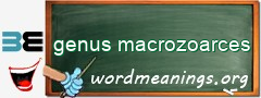 WordMeaning blackboard for genus macrozoarces